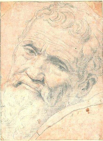 Birth name Michelangelo di Lodovico Buonarroti Simoni