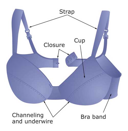 How to Measure Bra Size in India