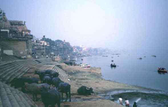 Varanasi Banaras Ganges River