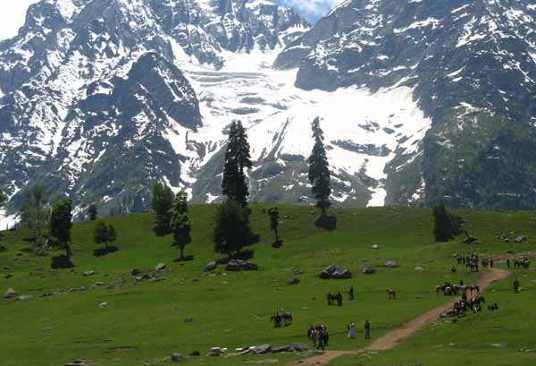 Kashmir