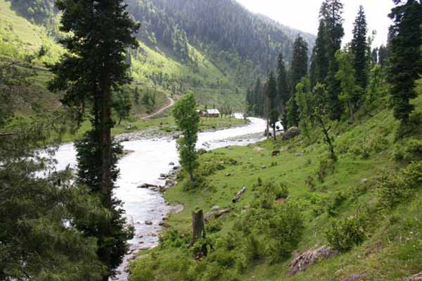 Kashmir