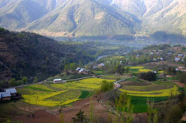 Gulmarg