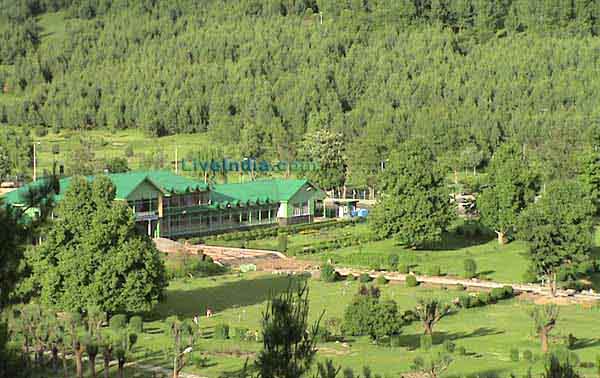 Kashmir