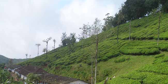 Kerala Photo Gallery
