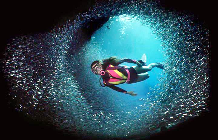 Lakshadweep Scuba Dive