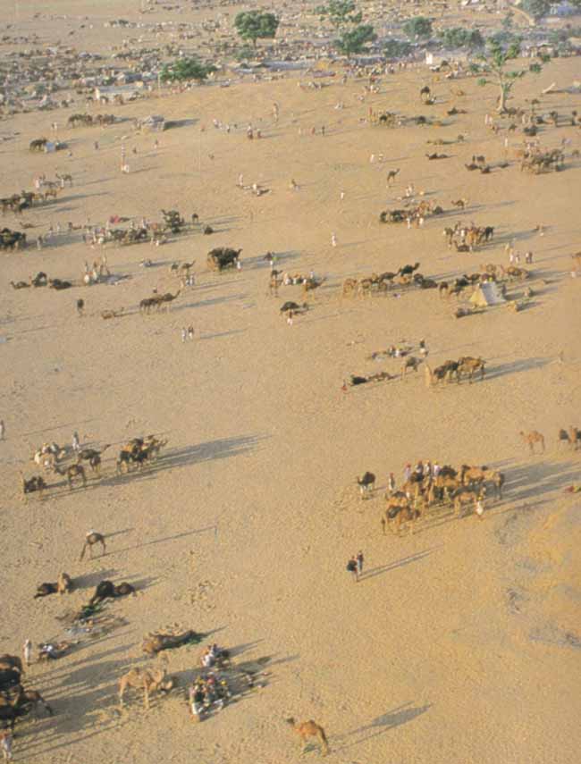 Pushkar