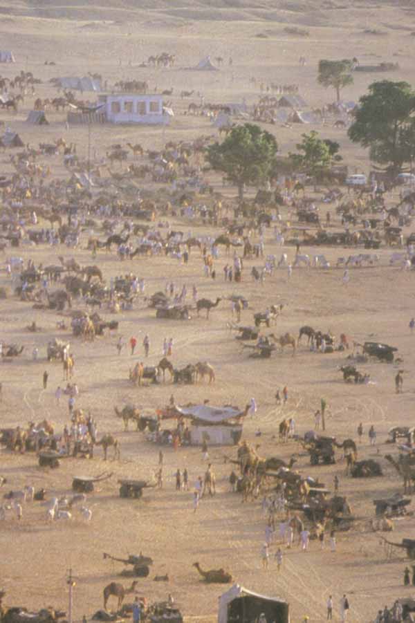 Pushkar Lake