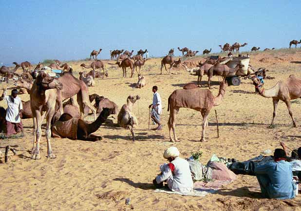 Pushkar Lake