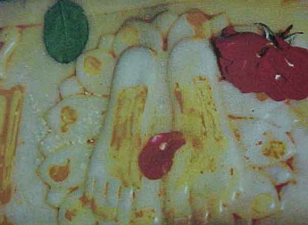 Sacred feet of Baba in Gurusthan