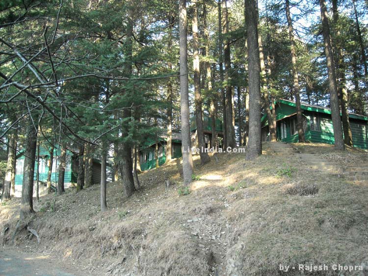 huts and cottages Lovers' Hill - Chail