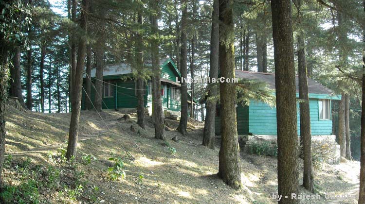 huts and cottages Lovers' Hill - Chail
