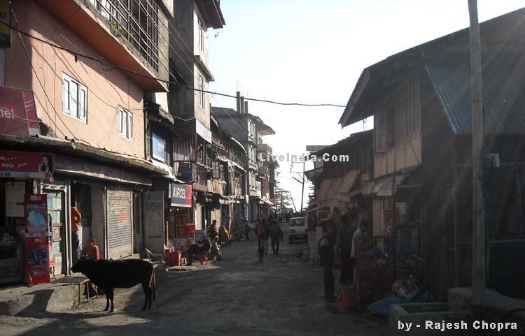 Chail Market