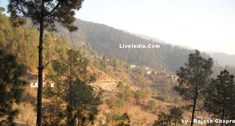 Shimla Sight Seens Gallery