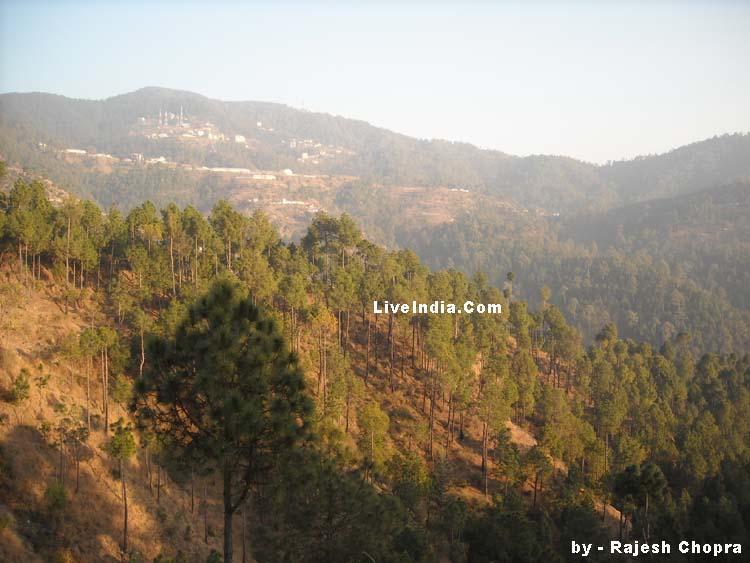 Chail Sight Seens