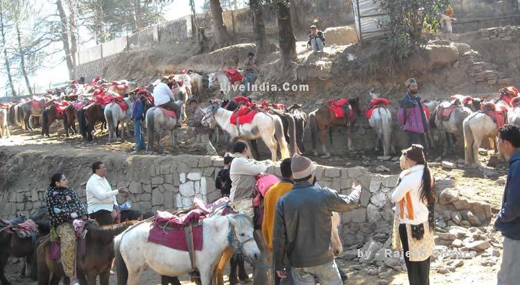 Kufri Hill Station