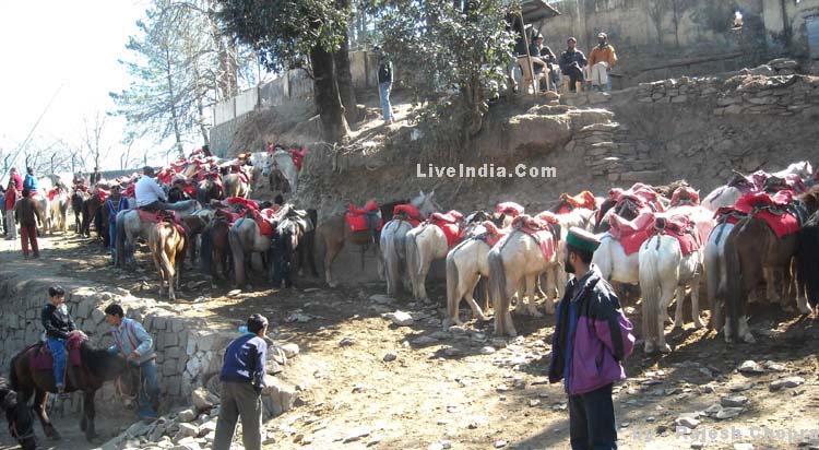 Shimla Sight Seens Gallery