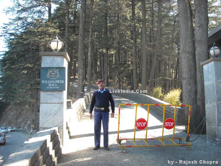 The Wildflower Hall Shimla Wild Flower