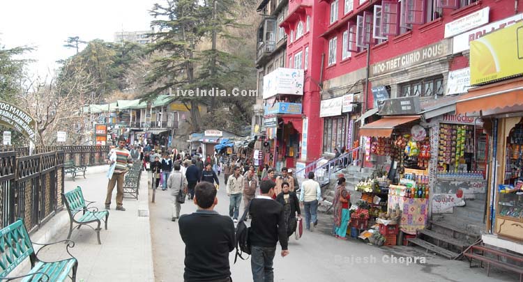 Lakkar Bazaar Shimla