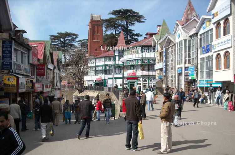 Shimla Tourist Info