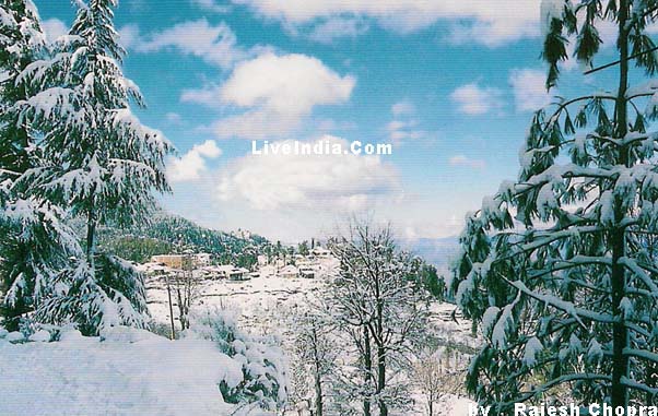 Shimla Sight Seens Gallery